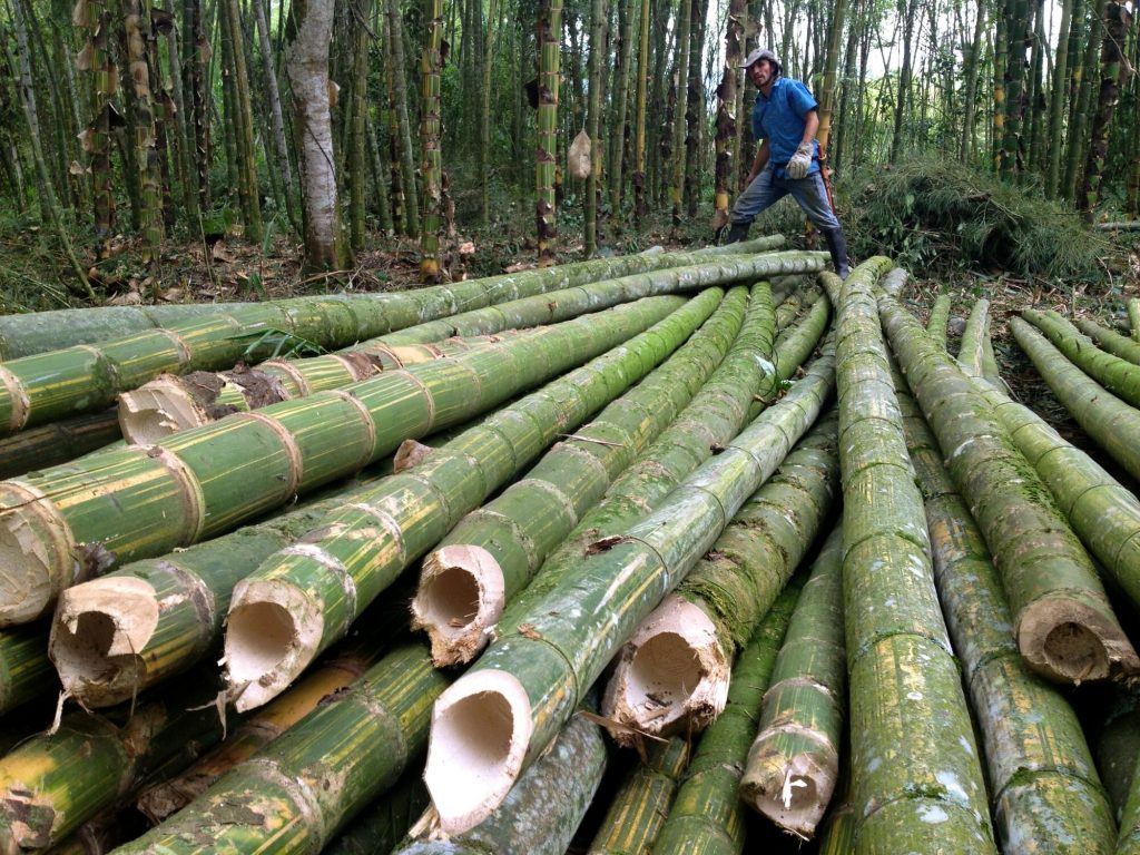 فرایند تولید قطعات بامبو